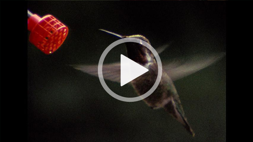 Super-8, film, s8, 8, mm